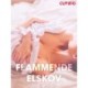 Flammende elskov - erotiske noveller