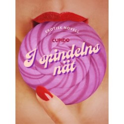 I spindelns nät - erotisk novell