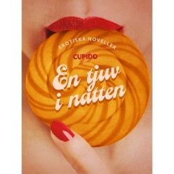 En tjuv i natten - erotiska noveller