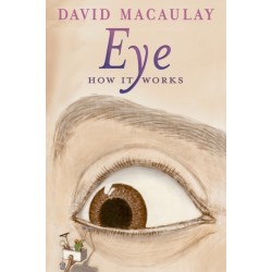 Eye: How It Works