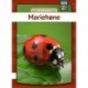 Mariehøne