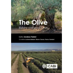 The Olive: Botany and Production
