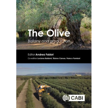 The Olive: Botany and Production