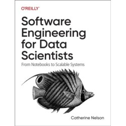 Software Engineering for Data Scientists: From Notebooks to Scalable Systems