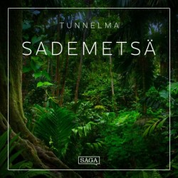 Tunnelma - Sademetsä