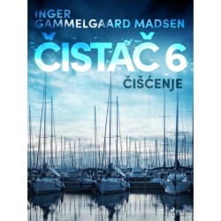 Čistač 6: Čišćenje