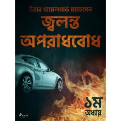 জ্বলন্ত অপরাধবোধ - ১ম অধ্যায়