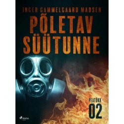 Põletav süütunne – 2. peatükk