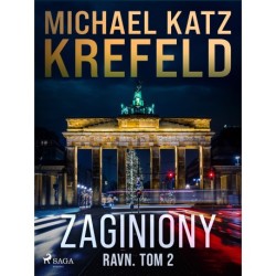 Ravn. Tom 2: Zaginiony