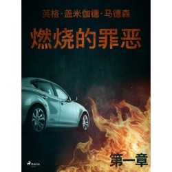 燃烧的罪恶 - 第一章