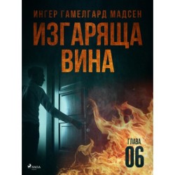 Изгаряща вина – Шеста глава