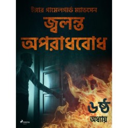 জ্বলন্ত অপরাধবোধ - ৬ষ্ঠ অধ্যায়