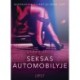 Seksas automobilyje - seksuali erotika