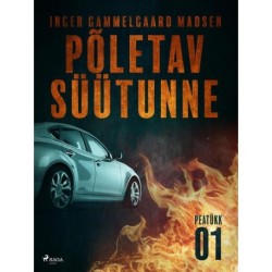 Põletav süütunne – 1. peatükk