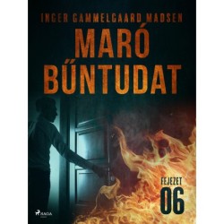Maró bűntudat – 6. fejezet