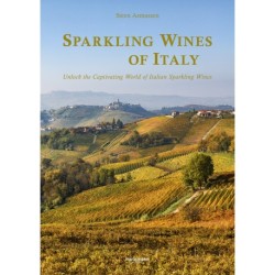 Sparkling Wines of Italy: Unlock the Captivating World of Italian Sparkling Wines
