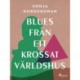 Blues från ett krossat världshus