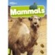 Mammals