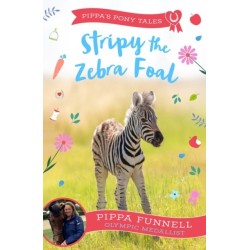 Stripy the Zebra Foal