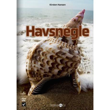 Havsnegle