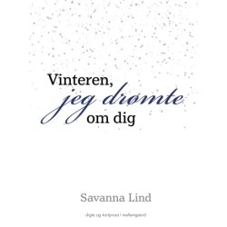 Vinteren jeg drømte om dig