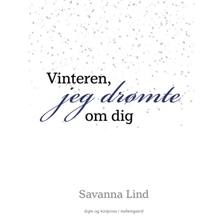 Vinteren jeg drømte om dig
