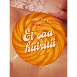Ei saa häiritä – eroottinen novellikokoelma
