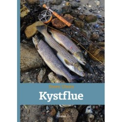 Kystflue
