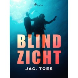 Blind zicht