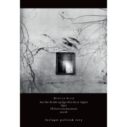 året før du dør og lige efter du er vågnet: digte og poetik: IX breve fra bucuresti