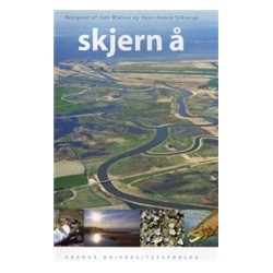 Skjern Å