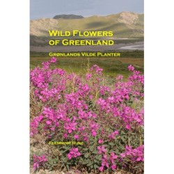 Wild Flowers of Greenland - Grønlands vilde planter