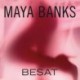 Besat: Enforcers 1