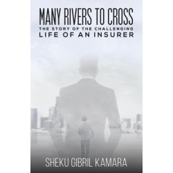 Many Rivers to Cross: The Story of the Challenging Life of an Insurer