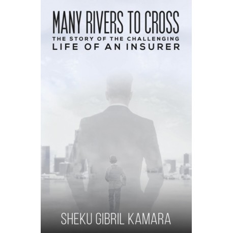 Many Rivers to Cross: The Story of the Challenging Life of an Insurer