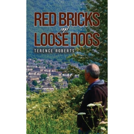 Red Bricks and Loose Dogs