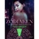 Zodiaken: 10 Erotiska noveller för Tvillingen