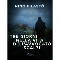 Tre giorni nella vita dell'avvocato Scalzi