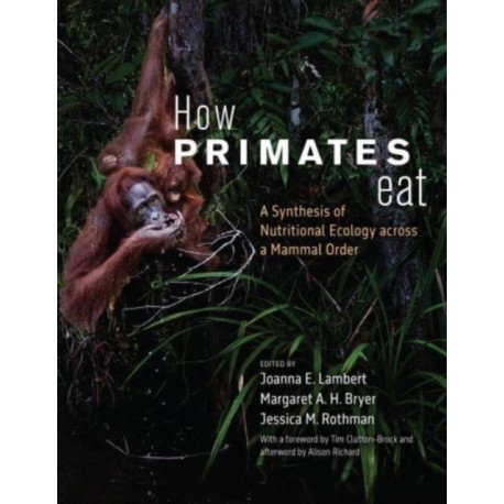 How Primates Eat: A Synthesis of Nutritional Ecology across a Mammal Order