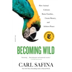 Becoming Wild: How Animal Cultures Raise Families, Create Beauty, and Achieve Peace