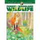 Creative Haven Forest & Woodland Wildlife Coloring Book