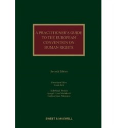 A Practitioner's Guide to the European Convention on Human Rights