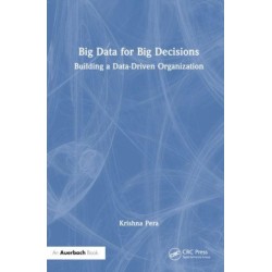 Big Data for Big Decisions: Building a Data-Driven Organization