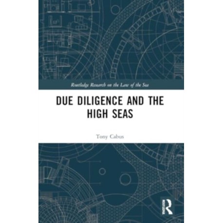 Due Diligence and the High Seas