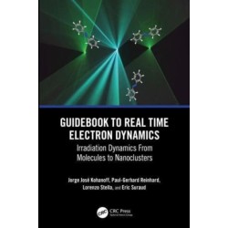 Guidebook to Real Time Electron Dynamics: Irradiation Dynamics From Molecules to Nanoclusters