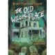 The Old Willis Place Graphic Novel: A Ghost Story
