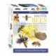 Discover Bees: A Guide to These Amazing Pollinators