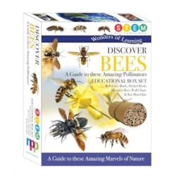 Discover Bees: A Guide to These Amazing Pollinators