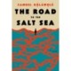 The Road to the Salt Sea: A Novel
