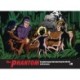 The Phantom The Complete Dailies Volume 29: The Phantom the complete dailies